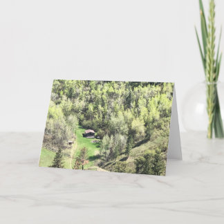 Bear Paws 🐾 Havre, Montana Card