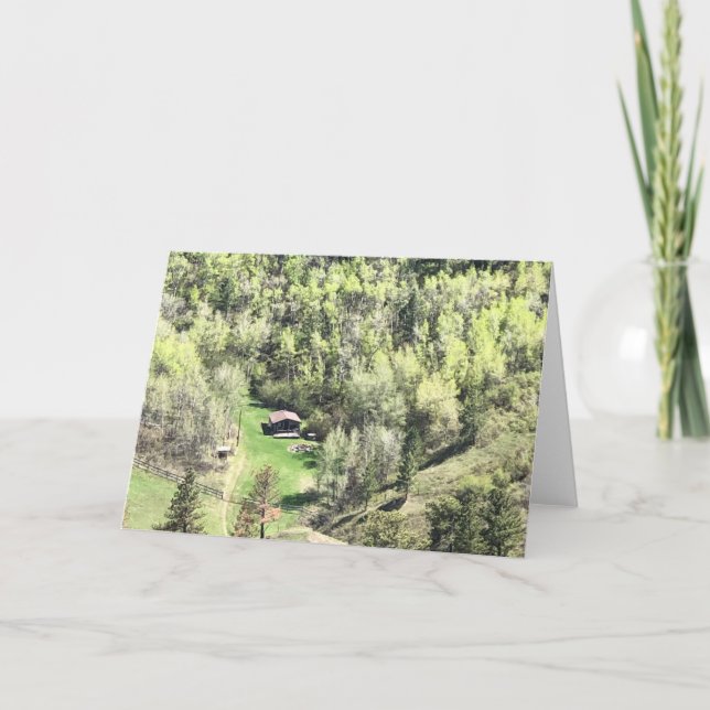 Bear Paws 🐾 Havre, Montana Card (Front)