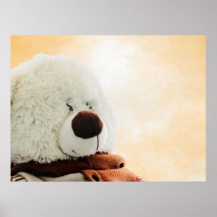Bear print