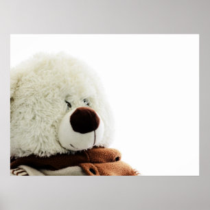 Bear print