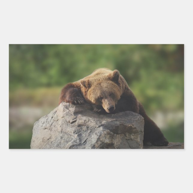 bear  rectangular sticker (Front)