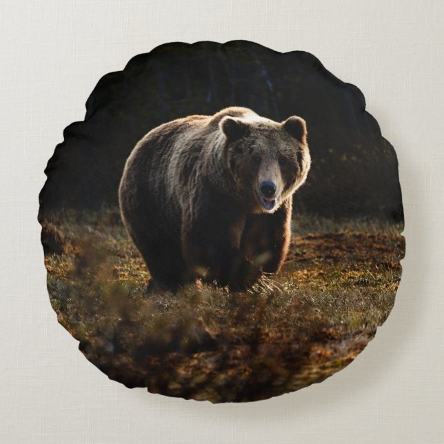 Bear Round Pillow (Front)