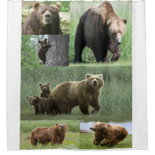 Bear Shower Curtain