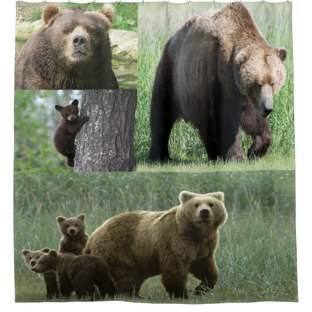 Bear shower curtain (Front)