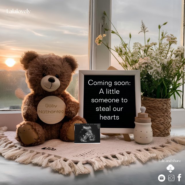 bear sitting on sunrise pregnancy announcement (Creator Uploaded)