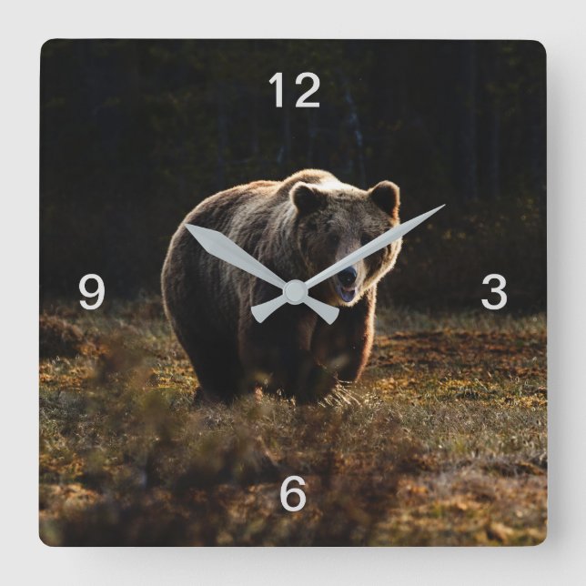 Bear Square Wall Clock (Front)