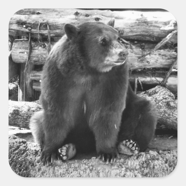 Bear Sticker (Front)