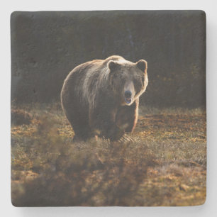 Bear Stone Coaster