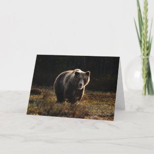 Bear Thank You Card