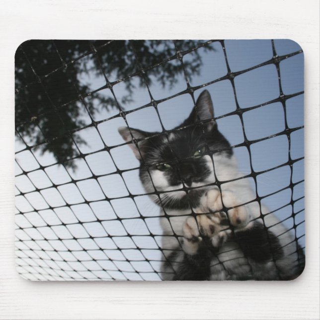 Bear the Cat at Sunset Mousepad (Front)