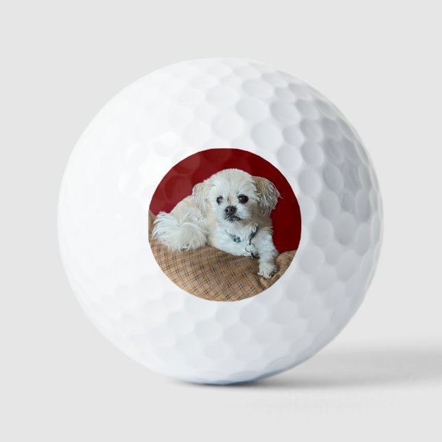 Bear the Malshi Golf Balls (Front)