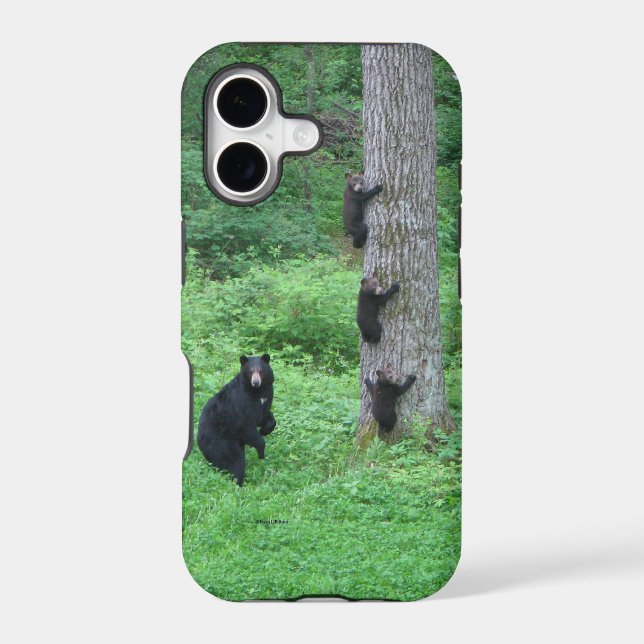 Bear & Three Cubs (Back)
