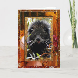 bearcat-16 card