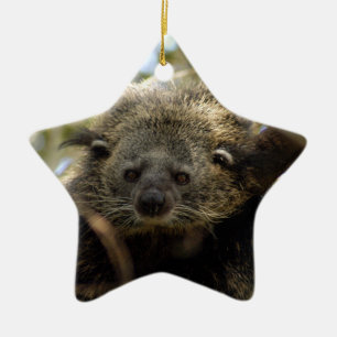 Bearcat Christmas Ornament