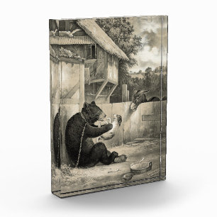 Beard - Bear, Dog and Donkey Photo Block