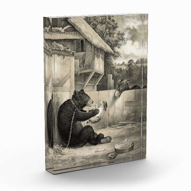 Beard - Bear, Dog and Donkey Photo Block (Left)