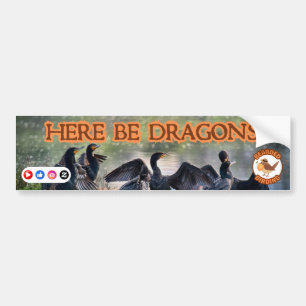 Bearded Birding: Here Be Dragons Bumper Sticker
