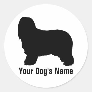 Bearded Collie ビアデッド・コリー Classic Round Sticker