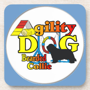 bearded collie agility coaster