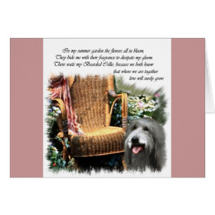 Bearded Collie Art Gifts