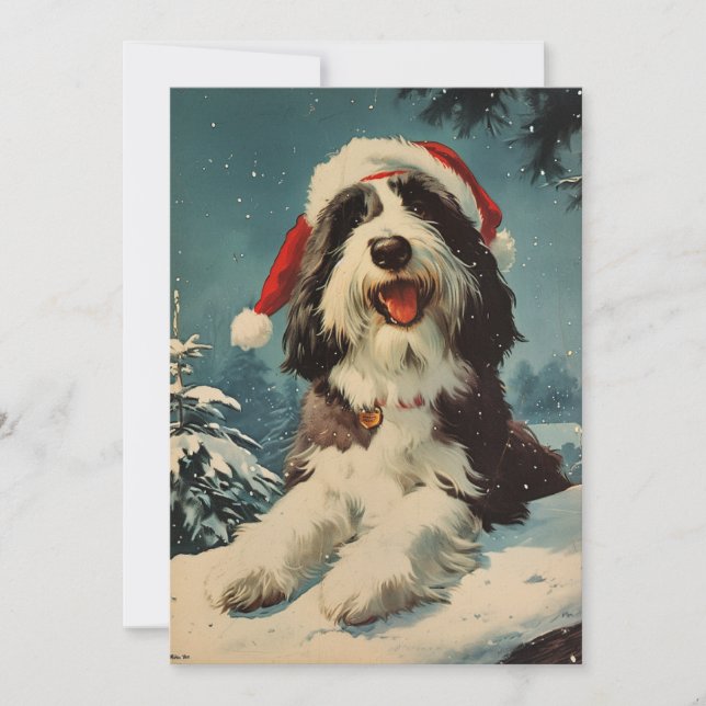 Bearded Collie Christmas  Holiday Card (Front)