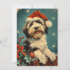 Bearded Collie Christmas