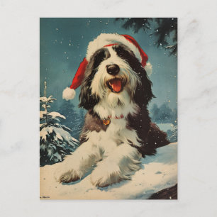 Bearded Collie Christmas  Postcard