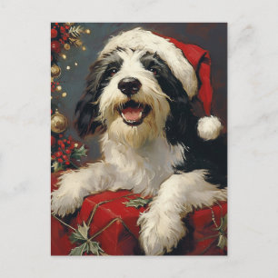 Bearded Collie Christmas Postcard