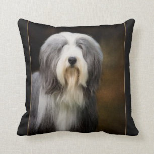Bearded Collie Cushion