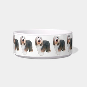 Bearded Collie Dog Bowl