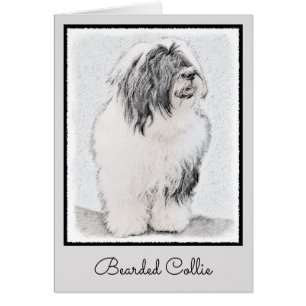 Bearded Collie Drawing - Cute Original Dog Art