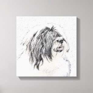 Bearded Collie Drawing - Cute Original Dog Art Canvas Print