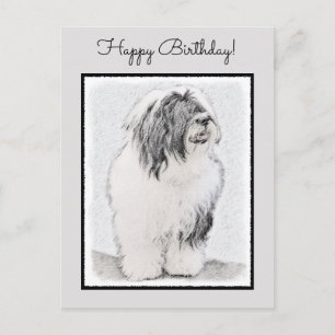 Bearded Collie Drawing - Cute Original Dog Art Postcard