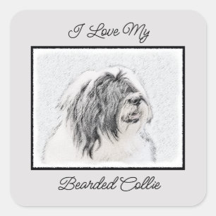 Bearded Collie Drawing - Cute Original Dog Art Square Sticker