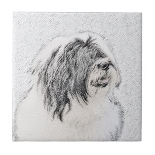 Bearded Collie Drawing - Cute Original Dog Art Tile