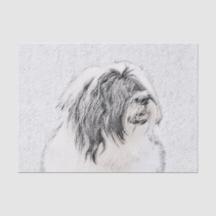 Bearded Collie Drawing - Cute Original Dog Art Tissue Paper