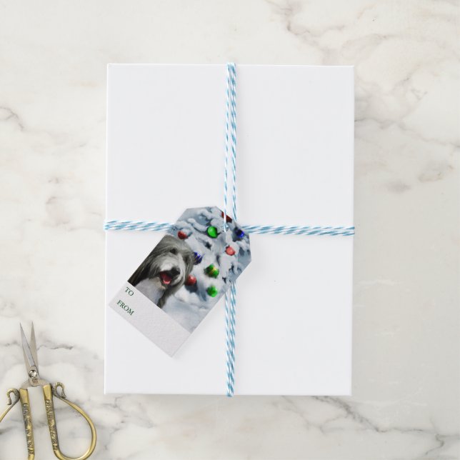 Bearded Collie Gift Tags (With Twine)