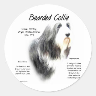 Bearded Collie History; Love Bearded Collies Classic Round Sticker