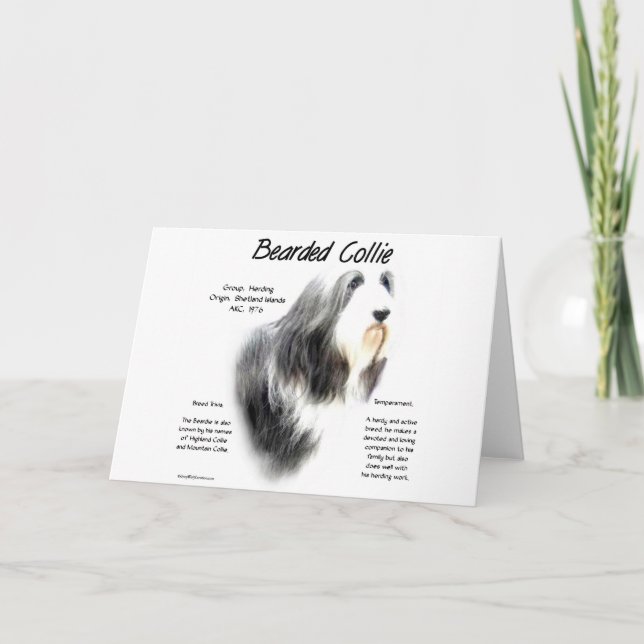 Bearded Collie History; Love Bearded Collies Holiday Card (Front)