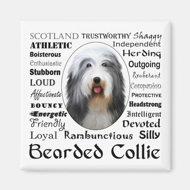 Bearded Collie Magnet (Front)