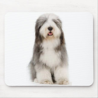Bearded Collie Mousepad