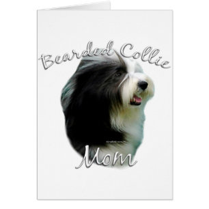Bearded Collie Mum 2