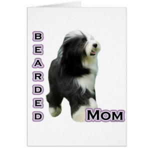 Bearded Collie Mum 4