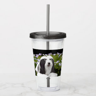 Bearded Collie Painting - Cute Original Dog Art Acrylic Tumbler