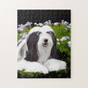 Bearded Collie Painting - Cute Original Dog Art Jigsaw Puzzle