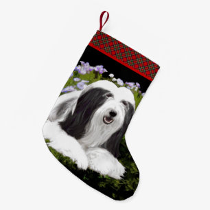 Bearded Collie Painting - Cute Original Dog Art Small Christmas Stocking
