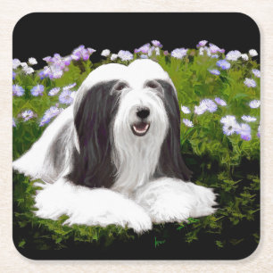 Bearded Collie Painting - Cute Original Dog Art Square Paper Coaster