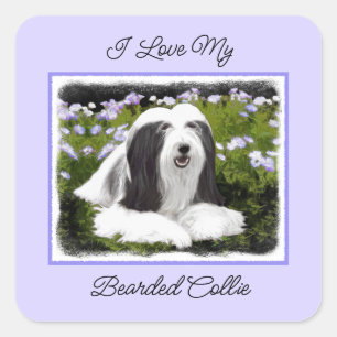 Bearded Collie Painting - Cute Original Dog Art Square Sticker