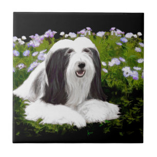 Bearded Collie Painting - Cute Original Dog Art Tile
