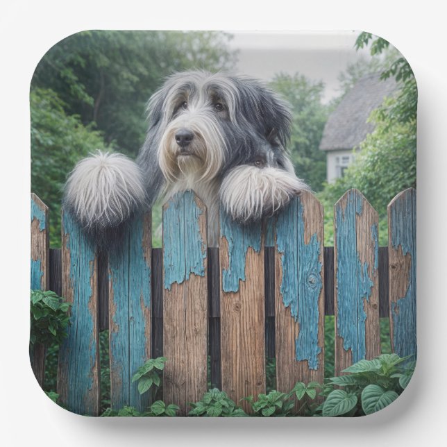 Bearded Collie Peeking Over Old Fence Paper Plate (Front)